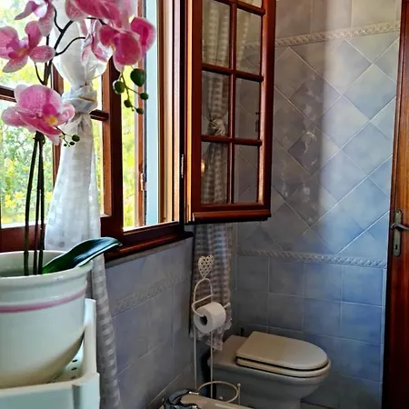 Villa Versilia Lido di Camaiore