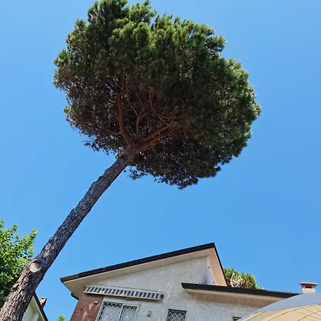 Versilia Villa *